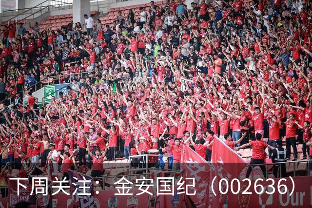 下周关注：金安国纪（002636）