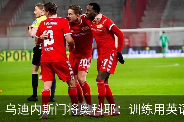 乌迪内斯门将奥科耶：训练用英语，否则七成人听不懂