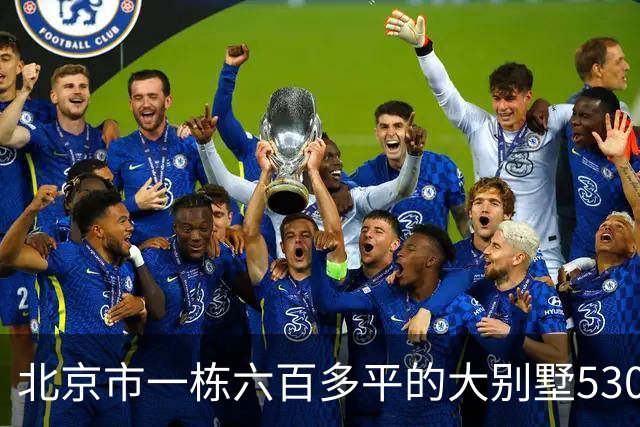 北京市一栋六百多平的大别墅5307万拍卖，被人以6017万元竞得