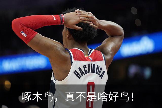 啄木鸟，真不是啥好鸟！