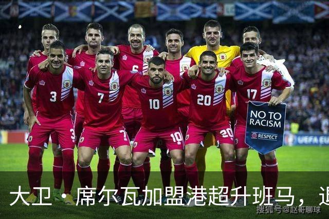 大卫·席尔瓦加盟港超升班马，退役3年复出只为体验文化？