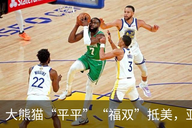 大熊猫“平平”“福双”抵美，亚特兰大动物园：令人振奋的一天