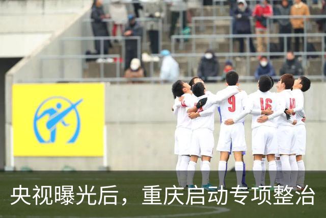 央视曝光后，重庆启动专项整治