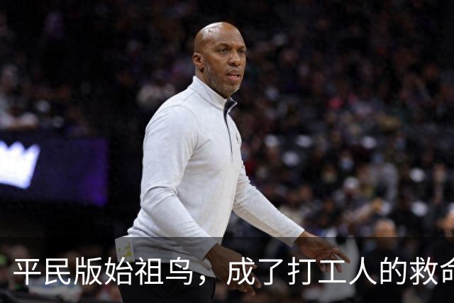 平民版始祖鸟，成了打工人的救命神装