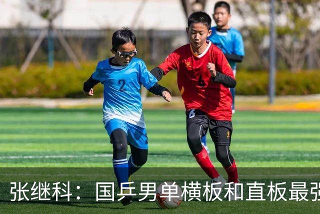 张继科：国乒男单横板和直板最强的三个人是樊振东、马龙和我