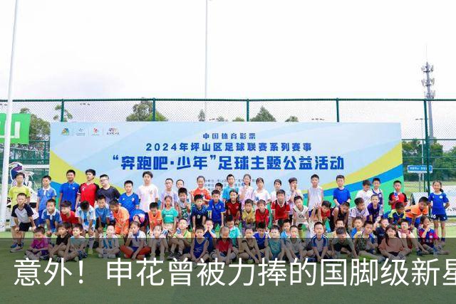 意外！申花曾被力捧的国脚级新星，本赛季职业生涯却遇到了瓶颈