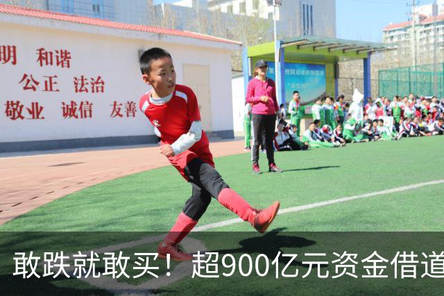 敢跌就敢买！超900亿元资金借道ETF蜂拥进场，除了沪深300，这些主题ETF也被大手笔买入