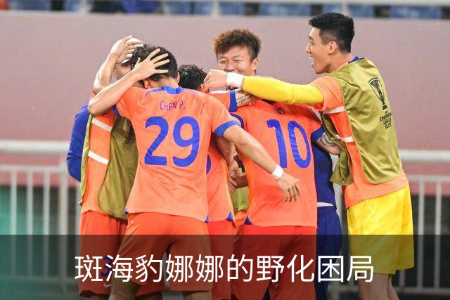 斑海豹娜娜的野化困局