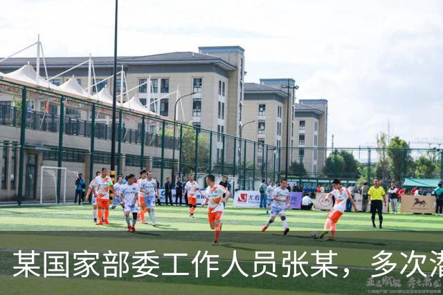 某国家部委工作人员张某，多次潜入内部会议室偷放录音笔，并主动将国家秘密出卖给境外间谍情报机构，因录音笔突然掉落暴露