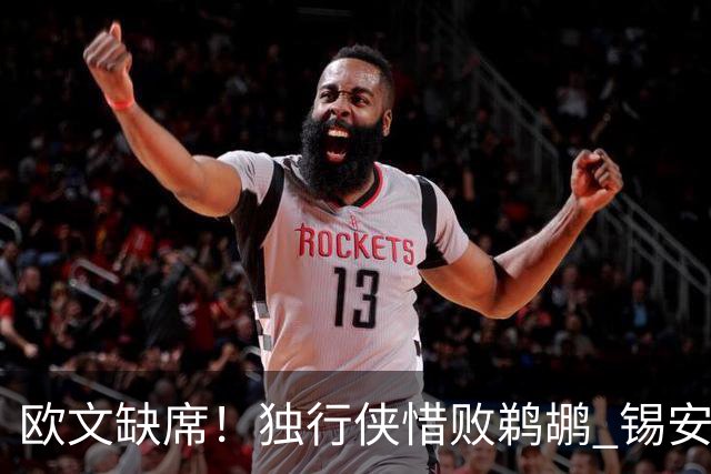 欧文缺席！独行侠惜败鹈鹕 锡安改打替补10分奎因9中1