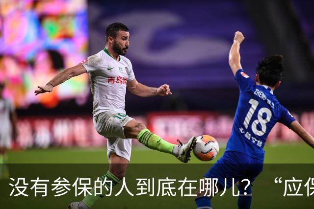 没有参保的人到底在哪儿？“应保尽保”要下大功夫