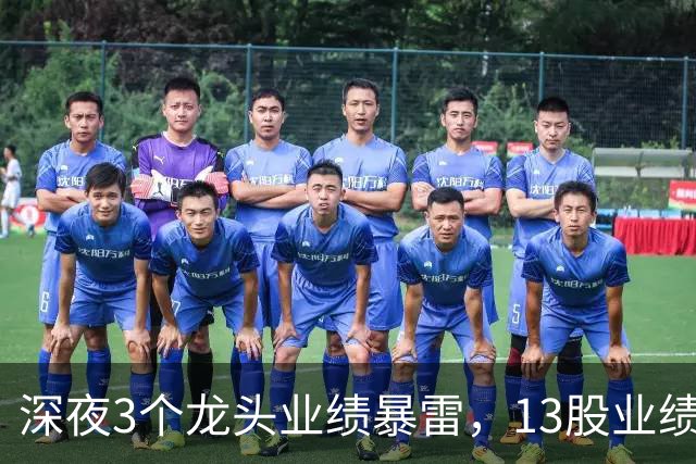 深夜3个龙头业绩暴雷，13股业绩大增，2个龙头增长超过10倍