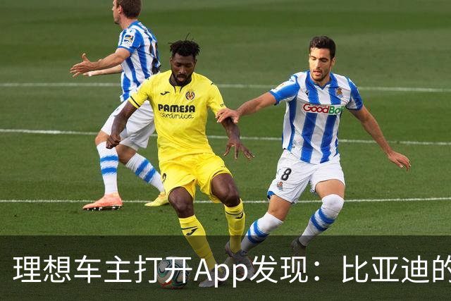 理想车主打开App发现：比亚迪的桩，成了自己的"长途靠山"
