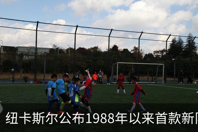 纽卡斯尔公布1988年以来首款新队徽