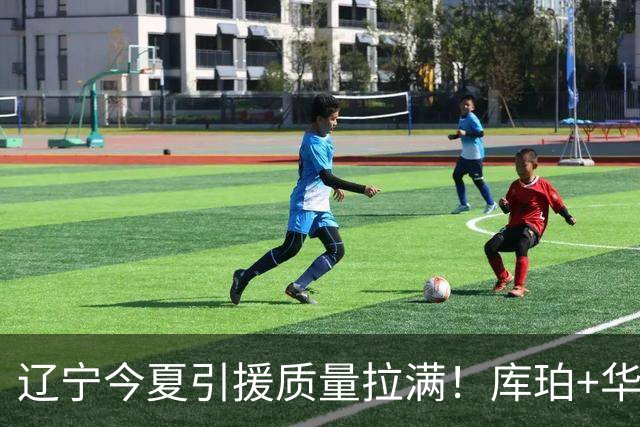 辽宁今夏引援质量拉满！库珀+华子场均42分，克里斯也能稳内线！