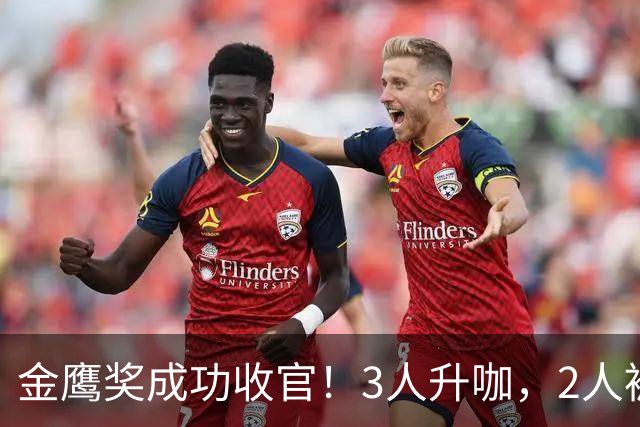 金鹰奖成功收官！3人升咖，2人被骂，1人颗粒无收，他最可怜