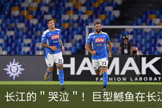 长江的＂哭泣＂！巨型鱤鱼在长江泛滥，十年禁渔却养虎为患？