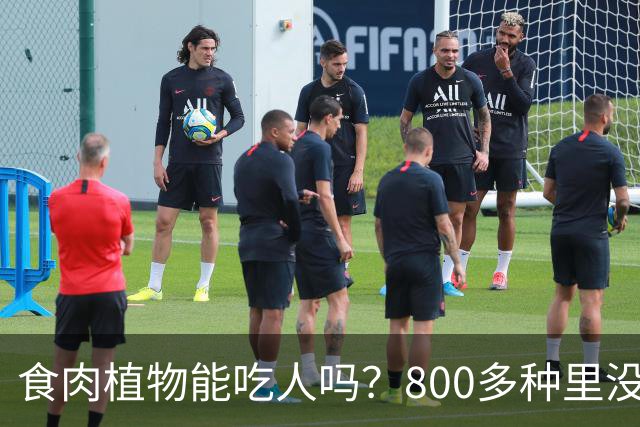 食肉植物能吃人吗？800多种里没有一种对人下得去嘴