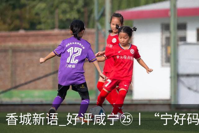 香城新语 好评咸宁㉕丨“宁好码”，马上办