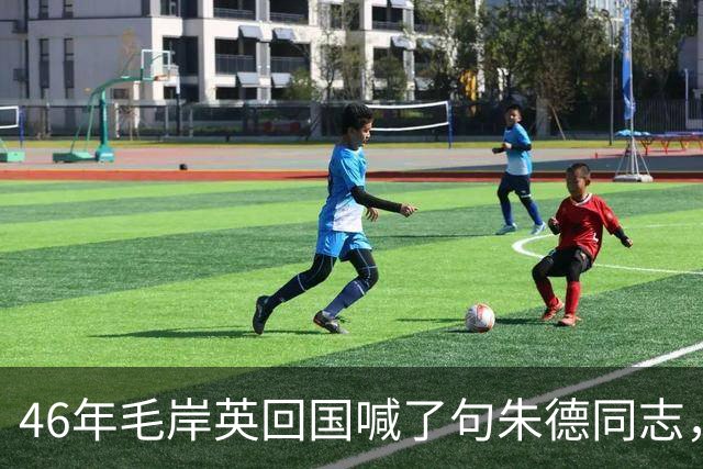 46年毛岸英回国喊了句朱德同志，毛主席脸色一沉：同志是你叫的？