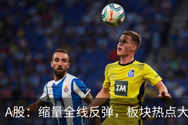 A股：缩量全线反弹，板块热点大乱斗，下午大盘，会这样运行
